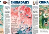 如何高效利用China Daily提升英语能力？